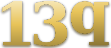 13q logo